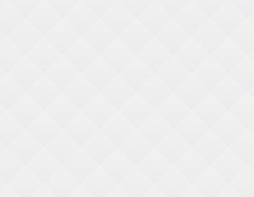 Brontosaurus Burgers